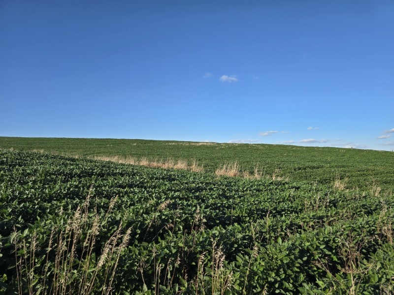 Listing photo 24